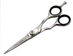 5 1/2" Hair Cutting Shear BT2498