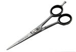 5  1/2" Roseline German  Ice Tempered Shear BT81355