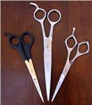Economy Haircutting Shears