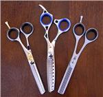 Thinning Shears
