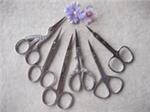 Cuticle Scissors