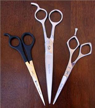 Economy Haircutting Shears